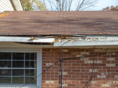 Untitled design - 2024-05-15T175028.473